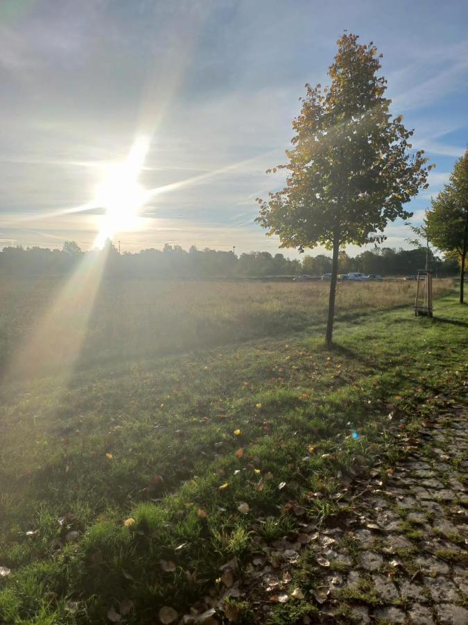 Pension Am Rosental Merseburg Kültér fotó
